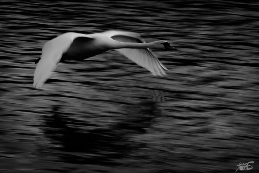 Gliding over the Cam….