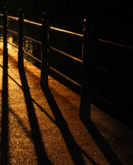 Golden hour by the Cam