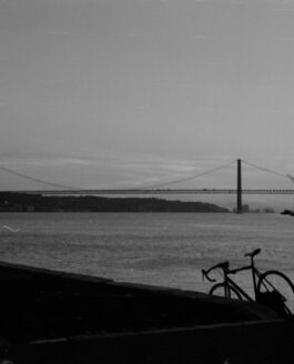 Analog Lisbon