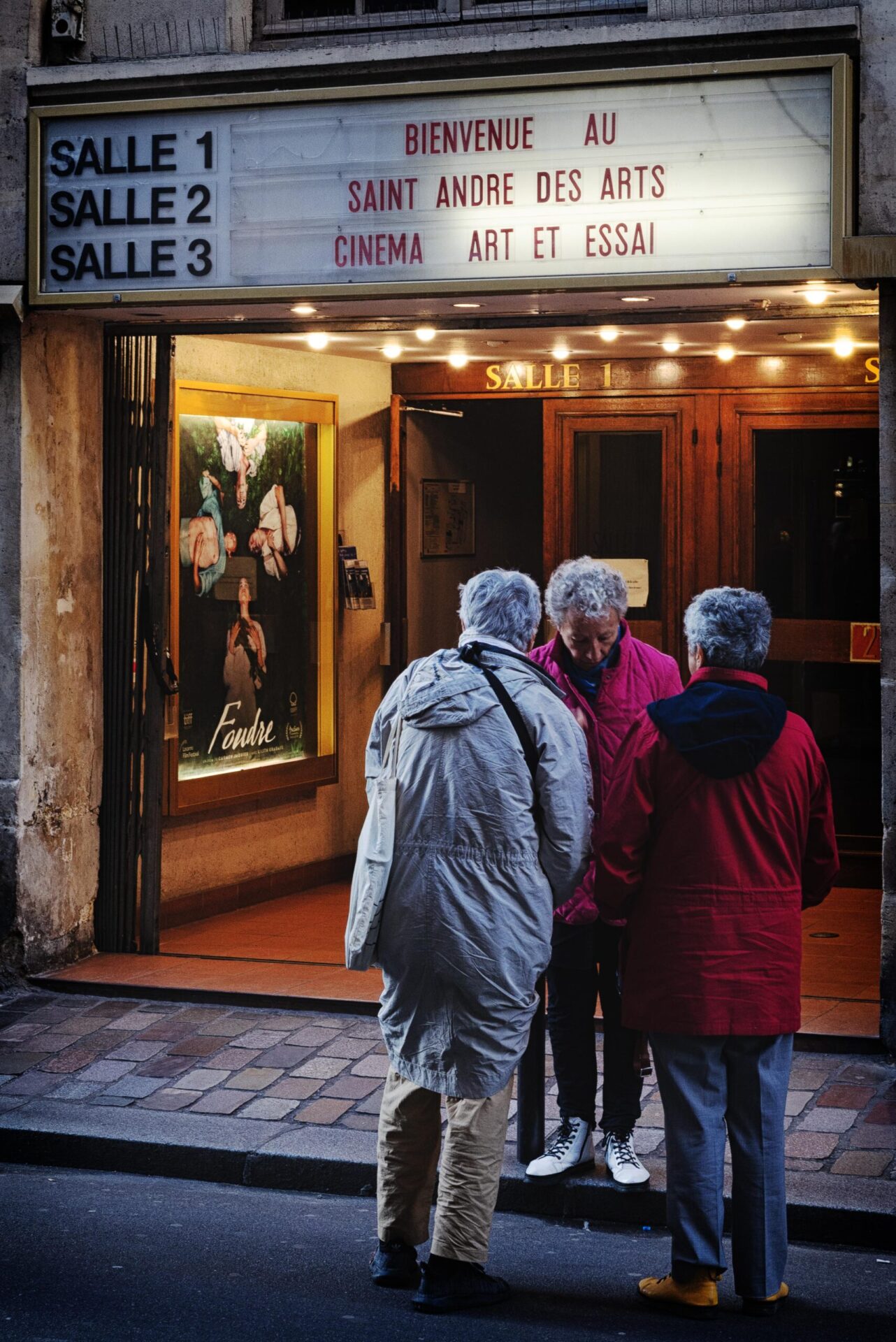 Cinema Saint Andre des Arts