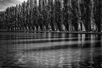 Parc de Sceaux, Paris (April 2024)