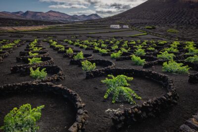 El Grifo, Lanzarote, Spain (July 2024)