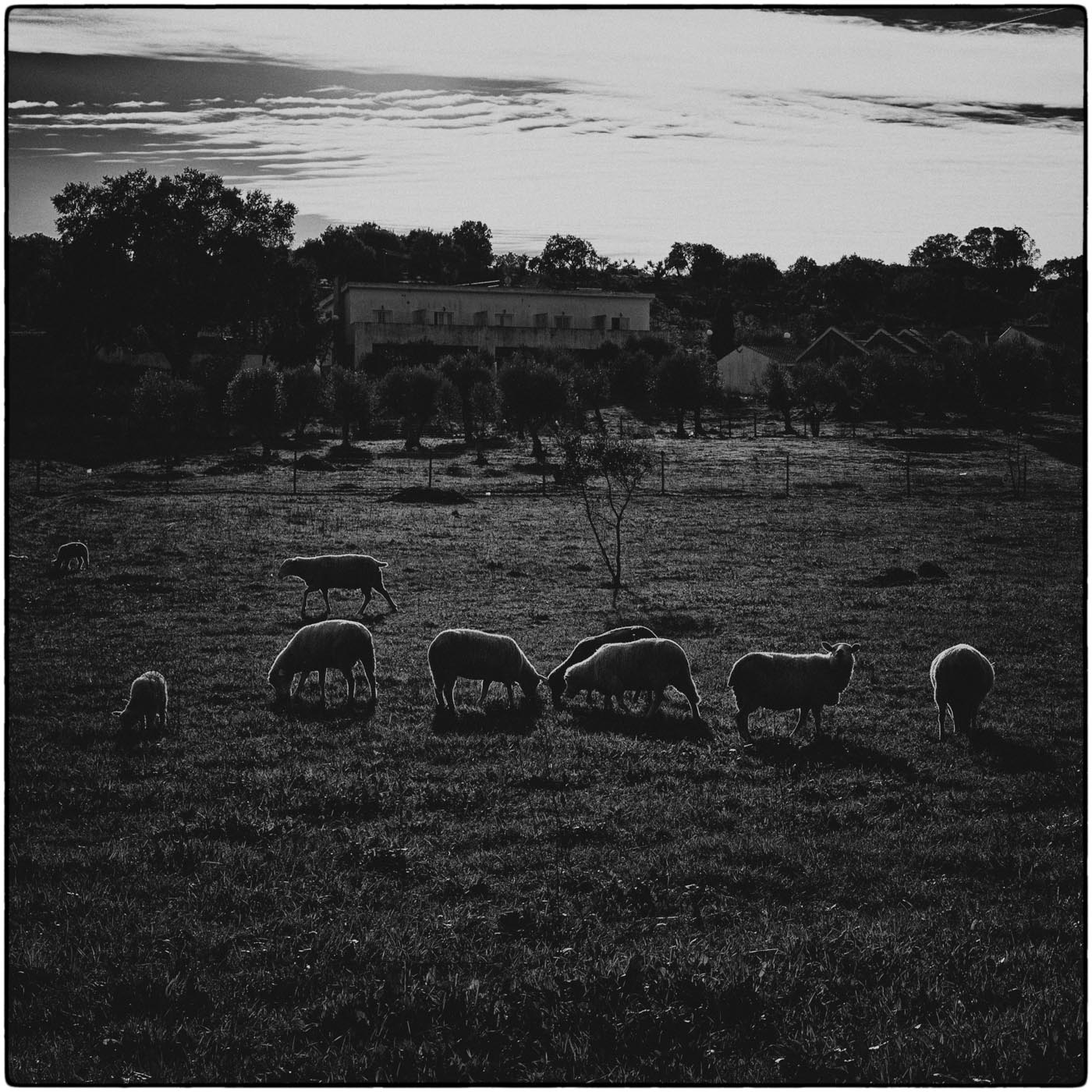 Evora, Portugal (December 2025)